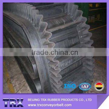 DIN Standard Sidewall Conveyor Belt