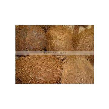 fresh mature coconut