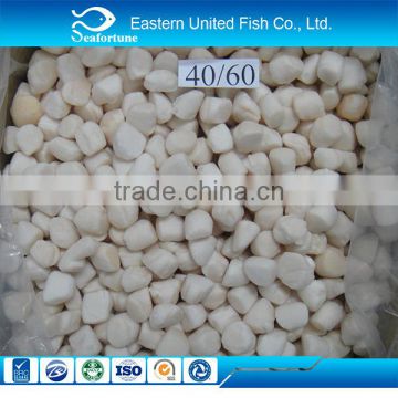 china seafood scallop meat sell