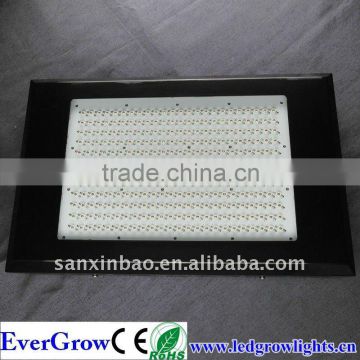 Shenzhen high quality cheap high power 5w Led grow Lights