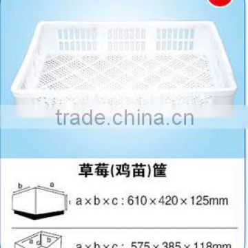 Hot sale HDPE plastic basket for strawberry