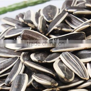 Raw Sunflower Seeds in Shell 363/FengKui