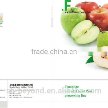 turnkey project of automatic Apple Processing plant