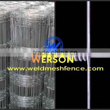 Hot Dipped Galvanized Cattle Fence