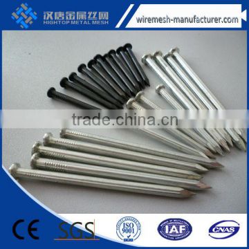 ISO9001 China sale common nail supplier