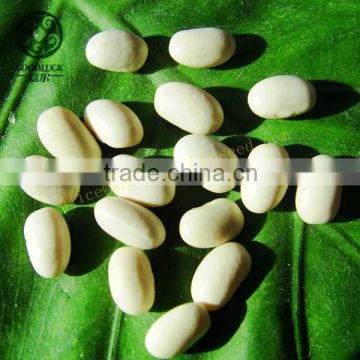 Dried Japanese Type White Kidney Beans,JWKB