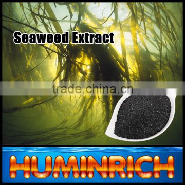Humirich Shenyang SY1001 Seaweed Extract Alga Flake Organic Fertilizer
