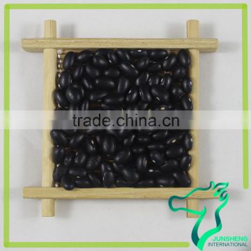 Wholesale Kidney Beans Black Kidney Beans On Sale
