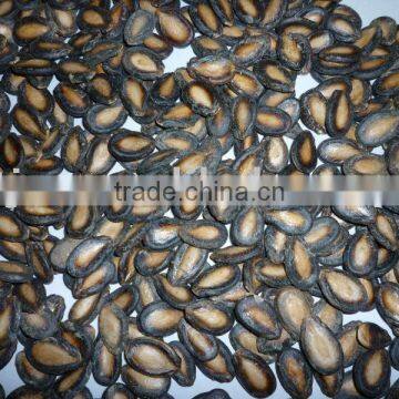 Black watermelon seeds in 11cm, 2009 crop