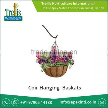 Unbelievable Price Faster Plant Grow Coir Hanging Basket for Garden Stores