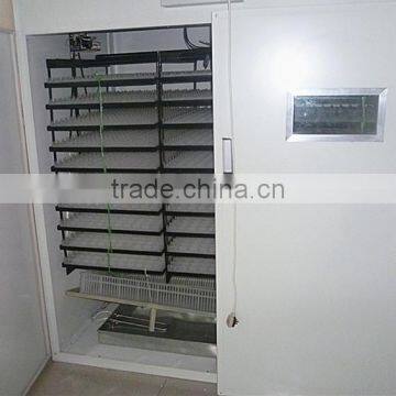 4480pcs pigeon egg incubator MUJIA automatic incubator for sale