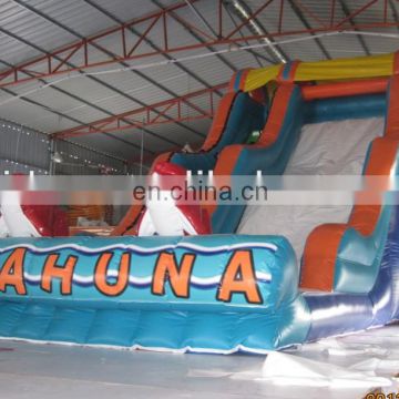 big kahuna inflatable water slide DS088