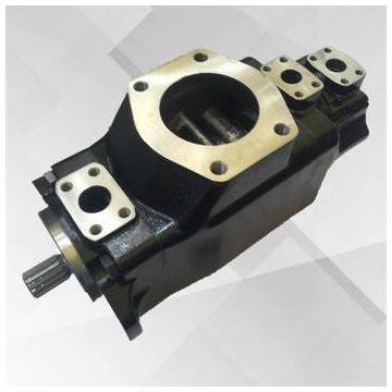 T6c-022-1l01-a1 Denison Hydraulic Vane Pump Molding Machine Standard
