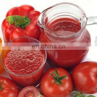 Tomato ketchup production line