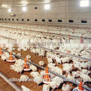 broiler house equipments of the poultry farm