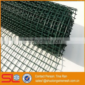 Hebei Shuolong supply 0.9mx30m 1/2"x1" vinyl coated welded wire fencing and aviary mesh                        
                                                Quality Choice