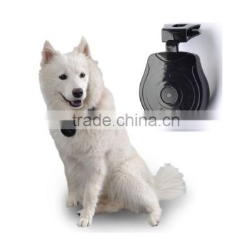 portable digital pet monitor for your lovely pets