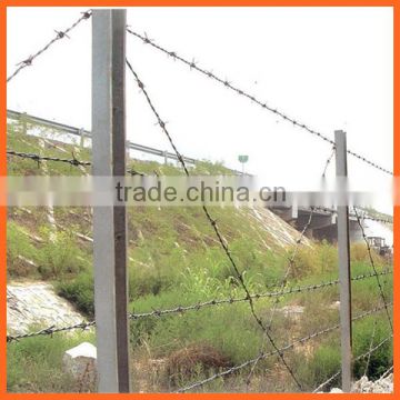Barbed Wire Fence/Fence Barbed Wire/Barbed Wire Roll Price Fence