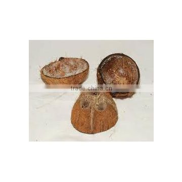 High Quality Cheap malabar coconut shell
