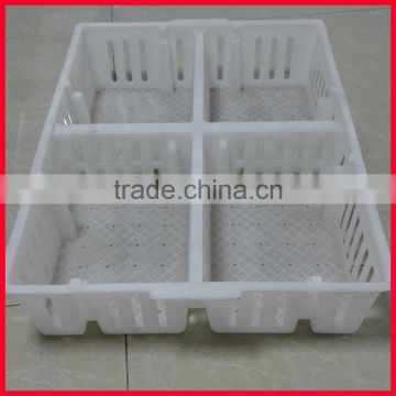 plastic chicken tranport stackable cage/box/crate for child chicken