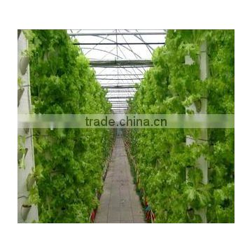 Convenience high quality hydroponic system