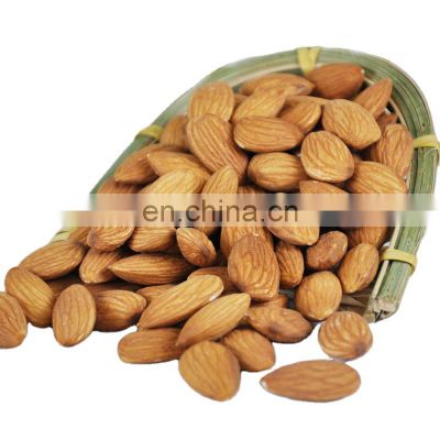 Factory Competitive Almond Wholesale Price kirkland chocolate almonds american almonds without shell