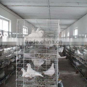 12door manufacturer pigeon cages design