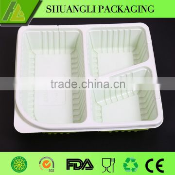 100% biodegradable food container