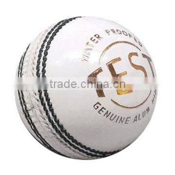 Alum Tanned Cricket Balls