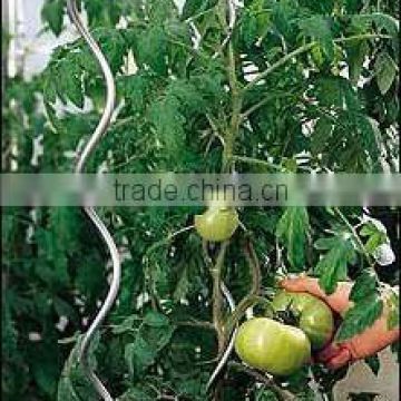 Tomato plant spiral support stakes