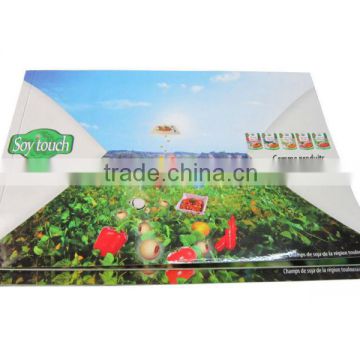 2015 Wholesale Cheap Price A4 Glossy Brochure Booklet Printing