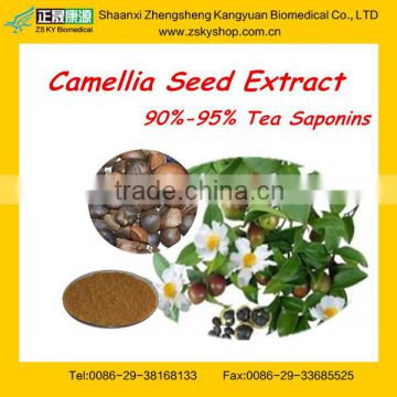 Tea seed saponin powder Tea Saponin