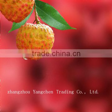 High Quality Syrup Common Canned Lichee for Sale