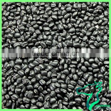 High Quality Black Kidney Beans Black Bean