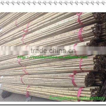 ZENT -20 bamboopole manufacturer