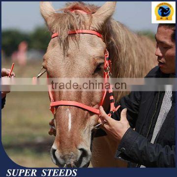 Equestrian PVC Horse Snaffle Bridle