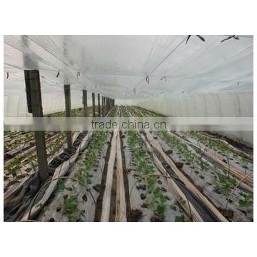 ldpe agriculture greenhouse/mulch film