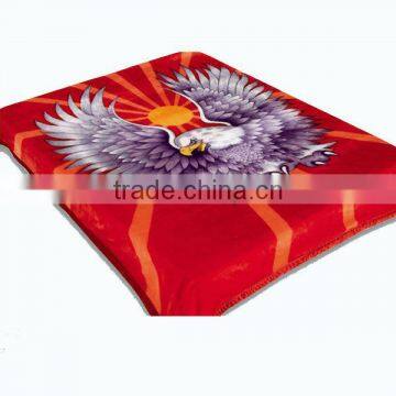 Hot Sale 2 layer Polyester Raschel Super Soft Blanket 4kg Animal Design