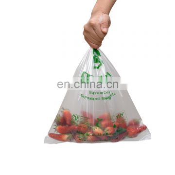 wholesale environmentally friendly China 100 biodegradable bolsa compostable cornstarch plastic produce bags with logos