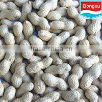 chinese raw organic peanut in shell