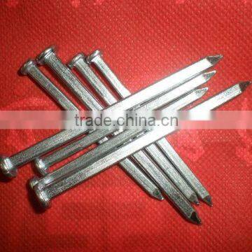 comoros market big order galvanized roofing nails