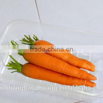 Environmental Disposable Plastic Takeaway Food Packaging