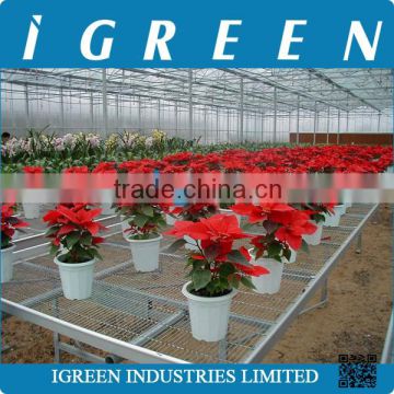 Commercial intelligent glass greenhouse for sale
