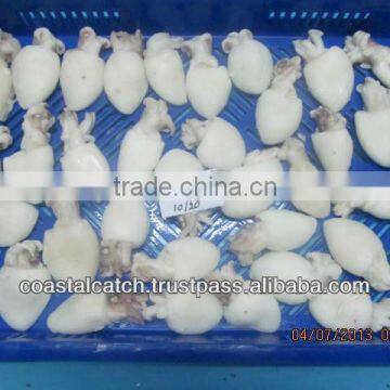 BABY CUTTLEFISH WHOLE CLEANED IQF