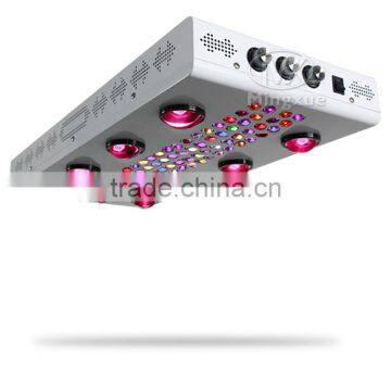 Hydroponic 1000W 1200W Grow Light Kit for medical plants growth