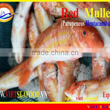 FROZEN WHOLE ROUND RED MULLET