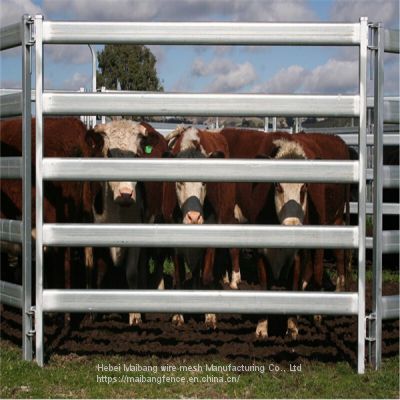 Heavy Duty Livestock Panels Cattle Panels/Cheap Portable Cattle Panels For Sale