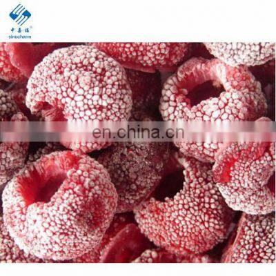 New Crop IQF Frozen Red Bayberries Frozen Chinese Bayberry