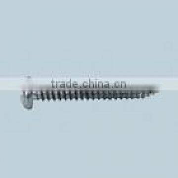 pan head self tapping screw white zinc plated in best-selling