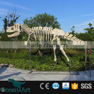 OAV3089 Hot Real Size Dinosaur Bone